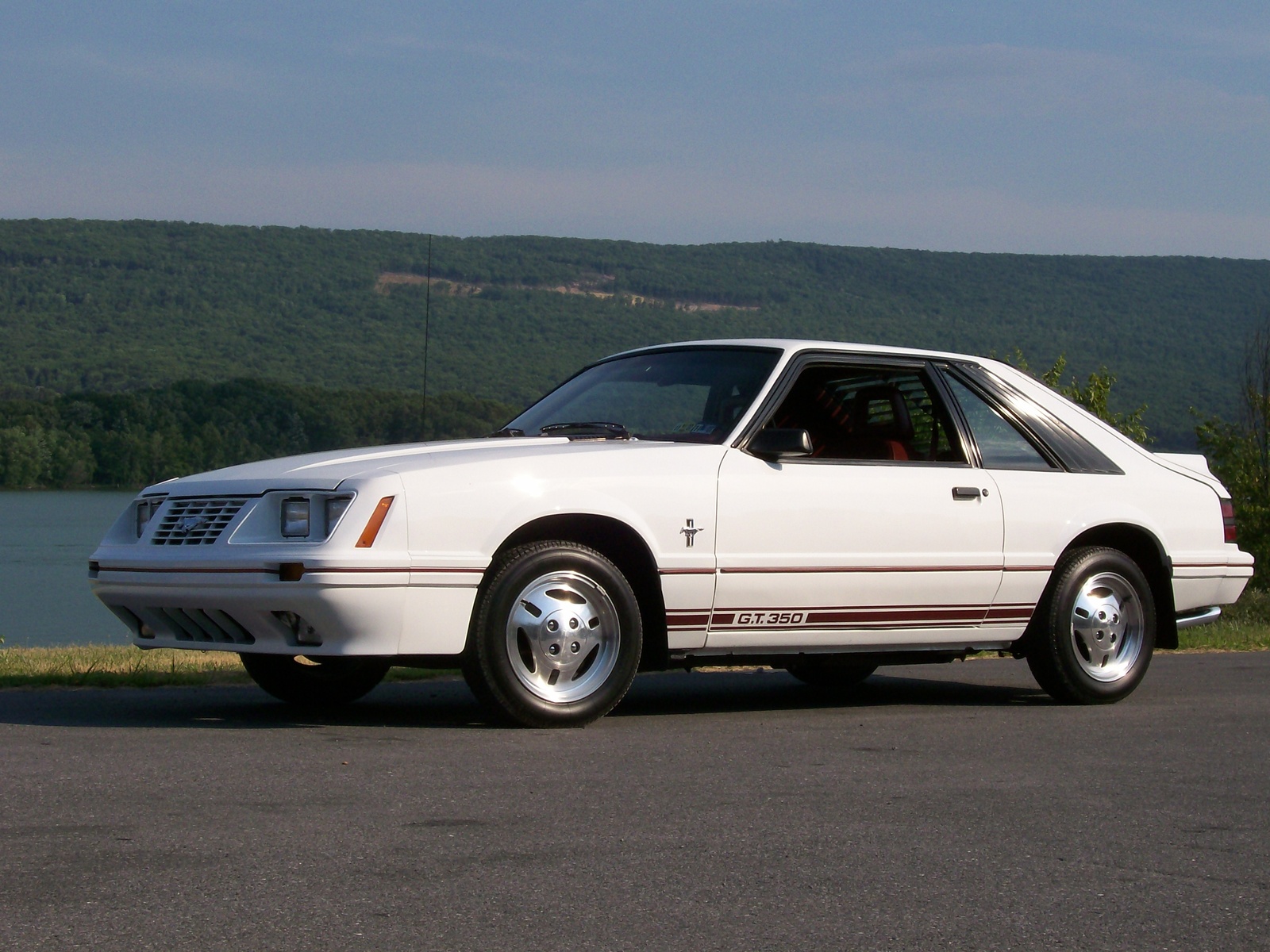 1984 Ford mustang gt-350 hurst equiped #9